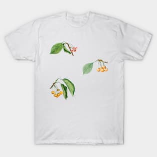 Vintage Cherry Pattern Retro Collection T-Shirt